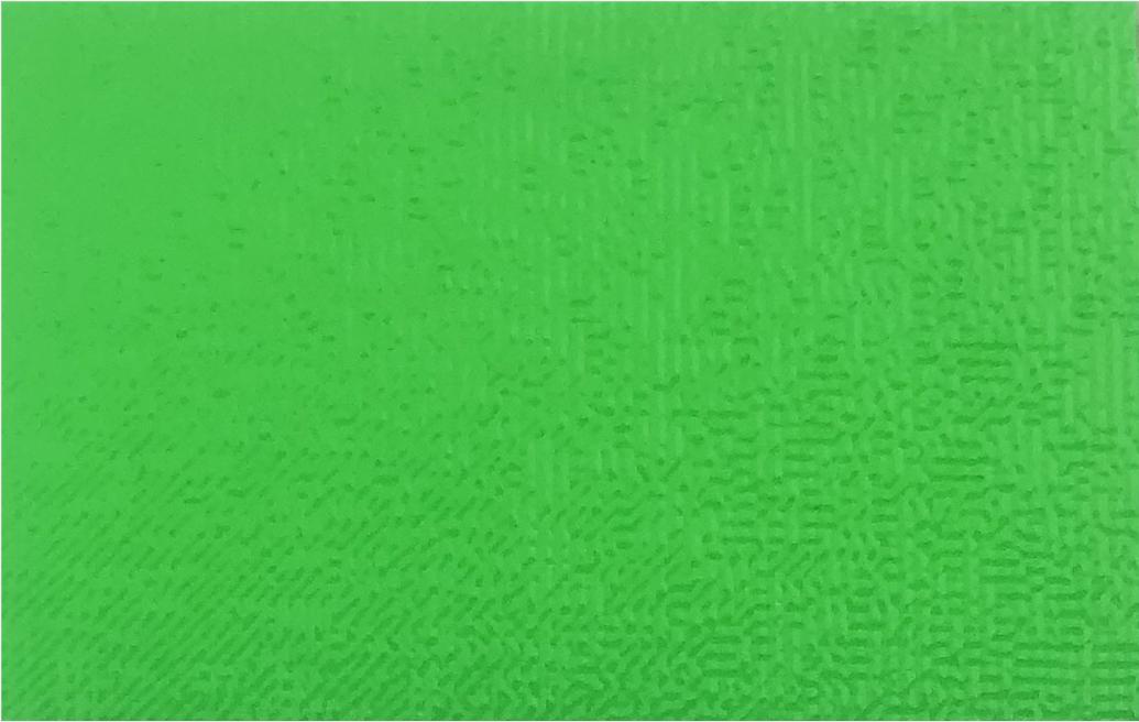 Fluorescent green pigmentXG-140