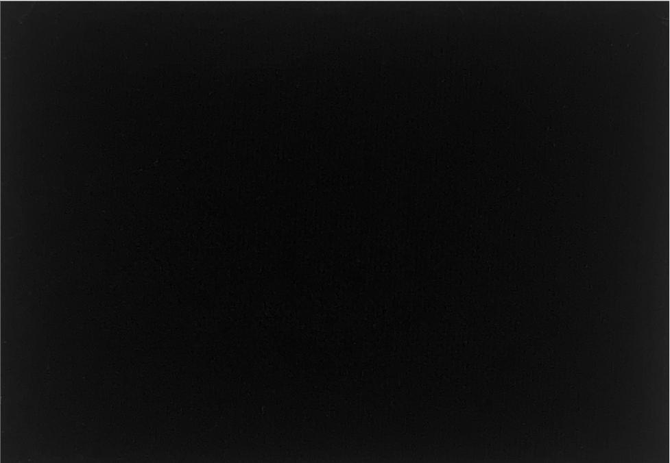 Black pigmentXG-501